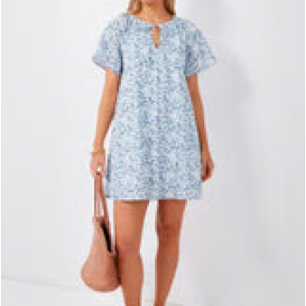 Tuckernuck Blue and White Flutter Sleeve Mini Dress